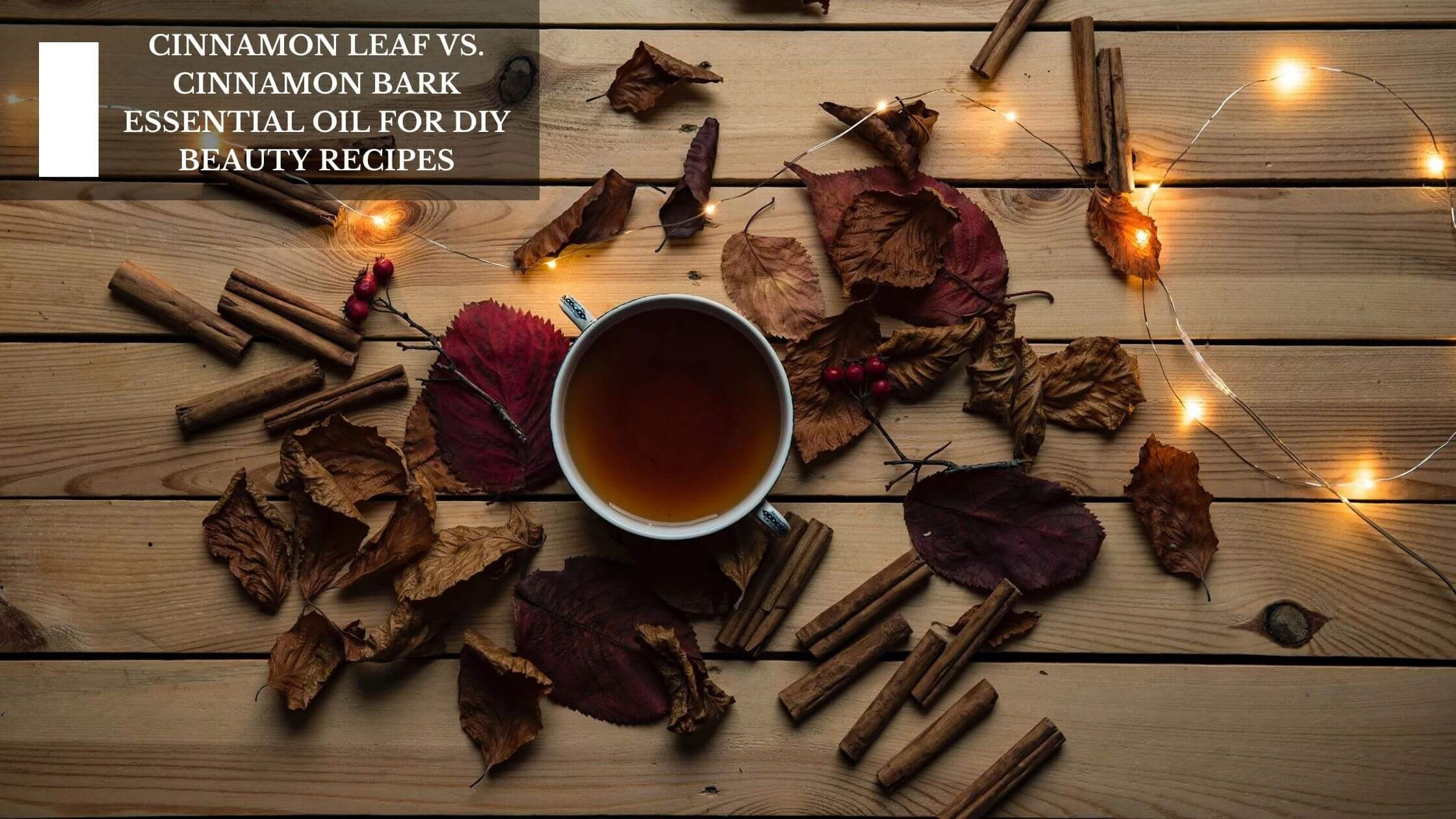 Cinnamon Leaf vs. Cinnamon Bark Essential Oil For DIY Beauty Recipes –  Moksha Essentials Inc.
