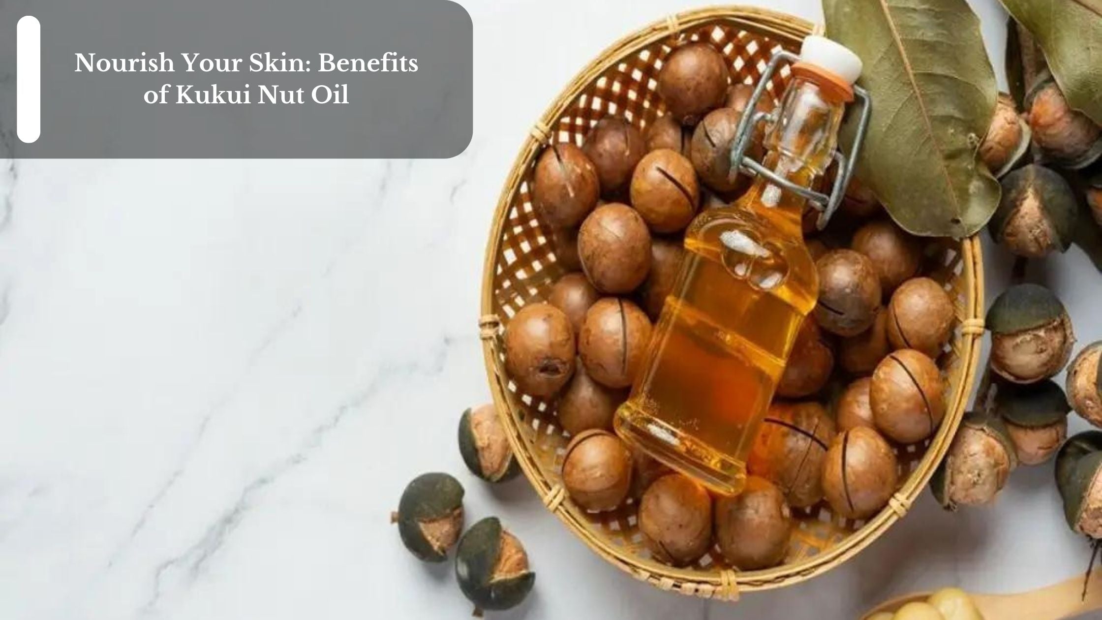 Nourish Your Skin Benefits of Kukui Nut Oil Moksha Essentials Inc.