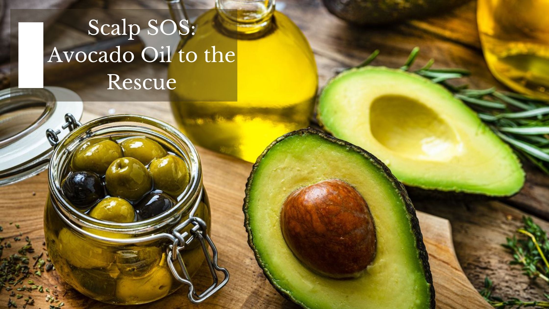 Scalp SOS Avocado Oil to the Rescue Moksha Essentials Inc.