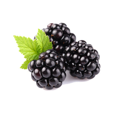 Natural Blackberry Seed Oil