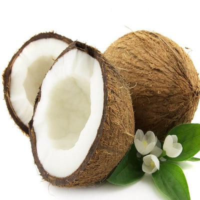 Natural Coconut Fragrance Oil