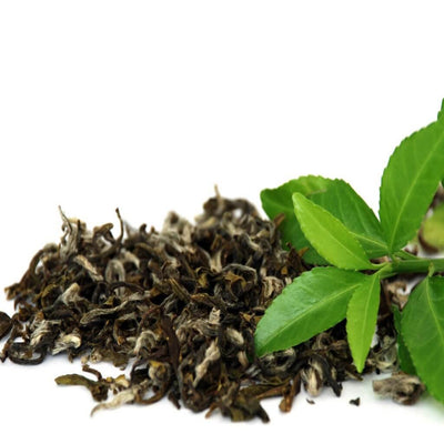 Premium Green Tea Fragrance Oil
