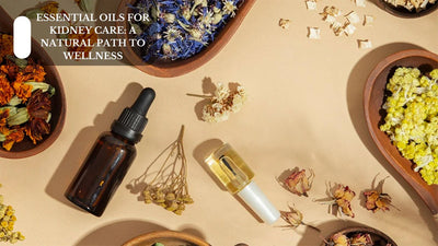 Essential Oils For Kidney Care: A Natural Path To Wellness