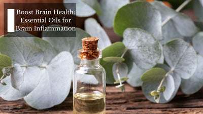 Boost Brain Health: Essential Oils for Brain Inflammation