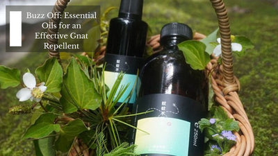 Buzz Off: Essential Oils for an Effective Gnat Repellent