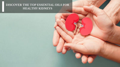 Discover The Top Essential Oils For Healthy Kidneys