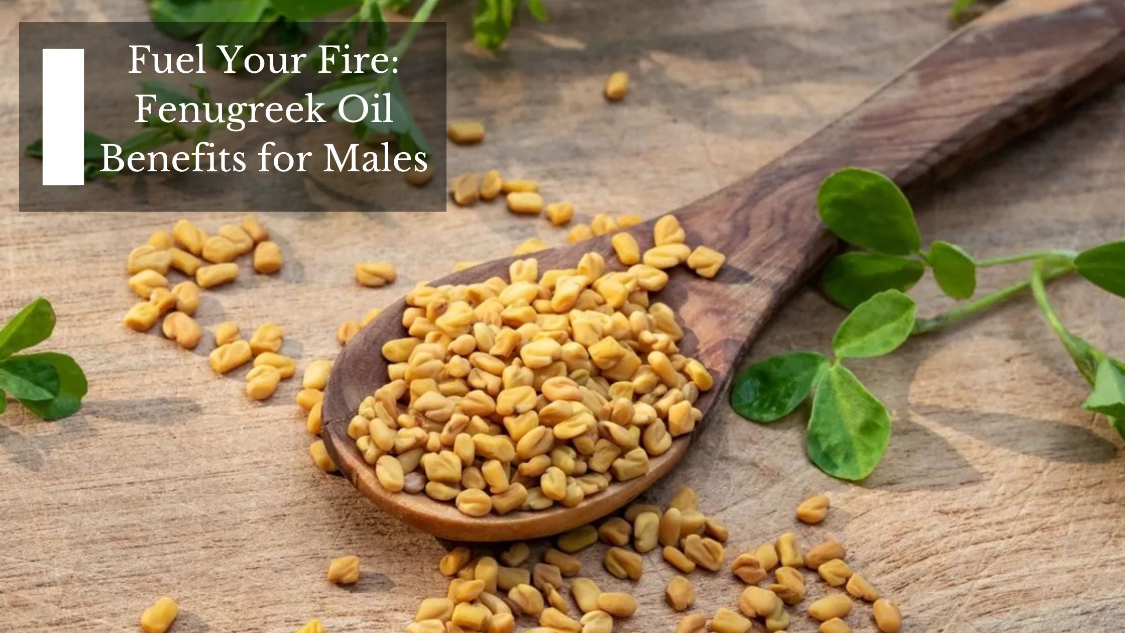 Fuel Your Fire Fenugreek Oil Benefits for Males Moksha Essentials Inc.
