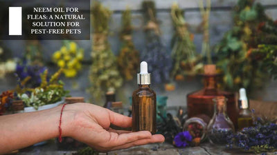 Neem Oil For Fleas: A Natural Solution For Pest-Free Pets