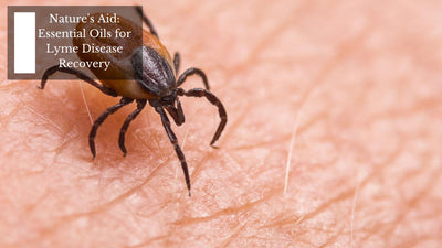 Nature's Aid: Essential Oils for Lyme Disease Recovery