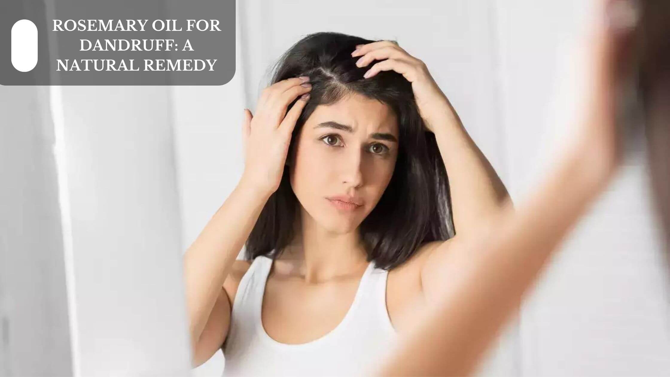 Rosemary Oil For Dandruff: A Natural Remedy – Moksha Essentials Inc.