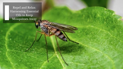 Repel and Relax: Harnessing Essential Oils to Keep Mosquitoes Away