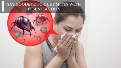 Say Goodbye To Dust Mites With Essential Oils