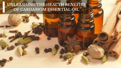 Unleashing The Health Benefits Of Cardamom Essential Oil