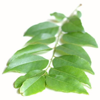 Organic Curry Leaf Hydrosol