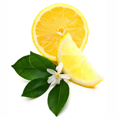 Natural Lemon Blossom Fragrance Oil